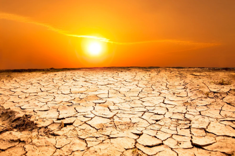 Communication systems  (19)